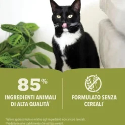 Acana Premium Patè Cat Adult Recipe Grain Free 85 g