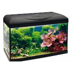 Acquario Basic Led Amtra