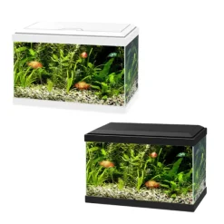 Acquario Ciano Aqua Light 20 Askoll