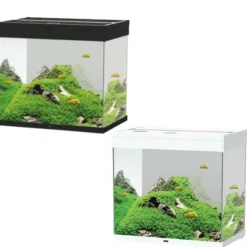 Acquario Ciano Emotions Nature Pro 60 Askoll