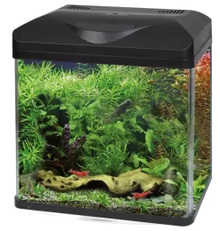 Acquario d'acqua dolce Laguna Led Amtra