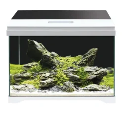 Acquario Modern Tank Amtra
