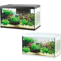 Acquario Ocean modello 60 Aqualovers