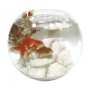 Acquario per pesci rossi Crystal Globe Amtra