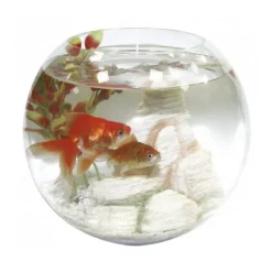 Acquario per pesci rossi Crystal Globe Amtra
