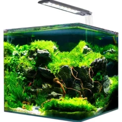 Acquario piccolo Nanotank Cubo System Amtra