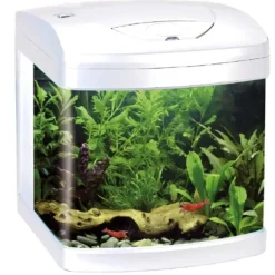Acquario Xcube 26 Led Amtra
