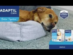 Adaptil Calm Diffusore con ricarica