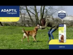 Adaptil Transport Spray calmante