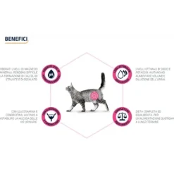 Advance Veterinary Diets Urinary Cat
