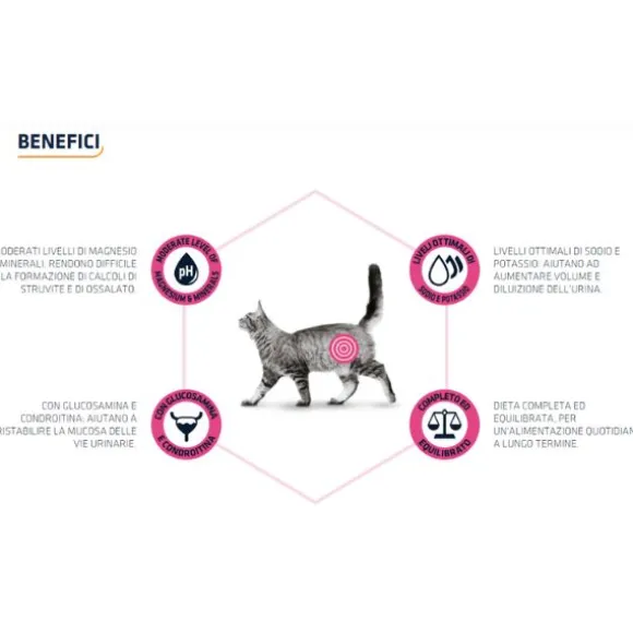 Advance Veterinary Diets Urinary Cat