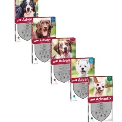 Advantix antiparassitario Spot-On per cani