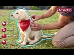 Advantix antiparassitario Spot-On per cani