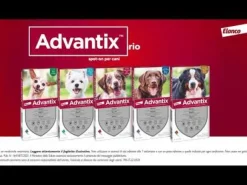Advantix antiparassitario Spot-On per cani