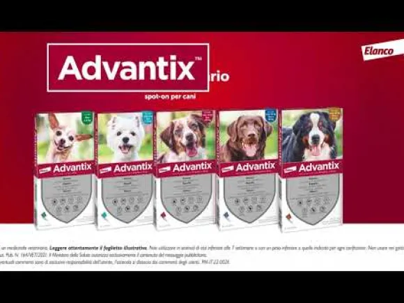 Advantix antiparassitario Spot-On per cani