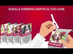 Advantix antiparassitario Spot-On per cani