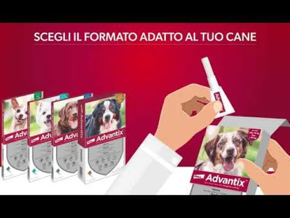 Advantix antiparassitario Spot-On per cani