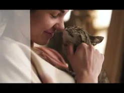 Alfa Premium Cat Food Skin Care Salmone