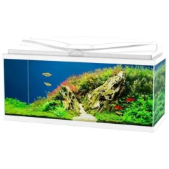 Aquario Aqua 80 Led Askoll