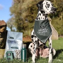 Arden Grange Hypoallergenic Sensitive Grain Free Dog Adult All breeds Pesce e patate