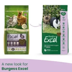 Burgess Excel Coniglio Light