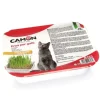 Camon Erba Gatta con semi di grano