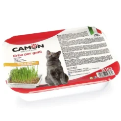 Camon Erba Gatta con semi di grano