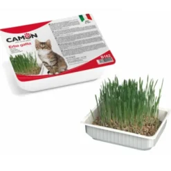 Camon Erba Gatta Vaschetta Orzo