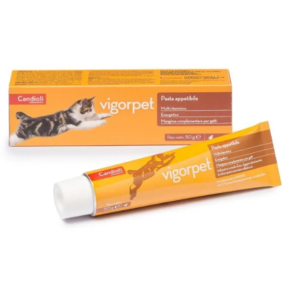Candioli Pharma Vigorpet Pasta appetibile gatti