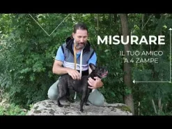 Cappotto Impermeabile per cani Montreal Croci