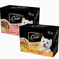 Cesar Dog Selezione Delizie del Giorno Multipack 12x100 gr