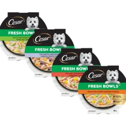 Cesar Fresh Bowls alimento completo per cani di piccola taglia 85 gr