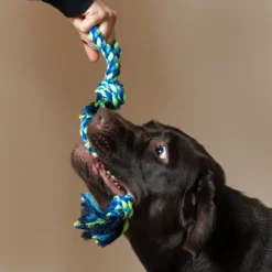 Corda in cotone per cani Cotonosso Maniglia Nodi PetUp