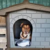 Cuccia per cani da esterno Eco PetUp