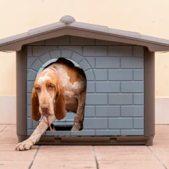Cuccia per cani da esterno Eco PetUp