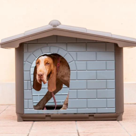 Cuccia per cani da esterno Eco PetUp