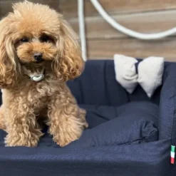 Cuccia per cani da interno Solid Blu Fabotex