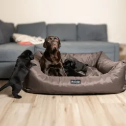 Cuccia per cani da interno Petit Sofà Dreamaway Boston Fabotex