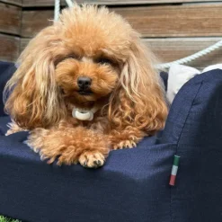 Cuccia per cani da interno Solid Blu Fabotex