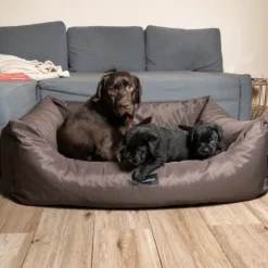 Cuccia per cani da interno Petit Sofà Dreamaway Boston Fabotex