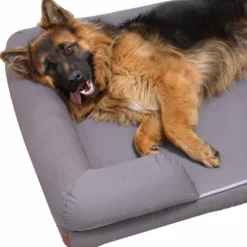 Cuscino Revenant Limitless in Memory Foam Croci