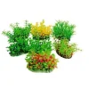 Decorativi Tropical Plan Amtra