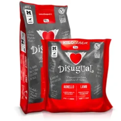 Disugual Adult Medium Agnello