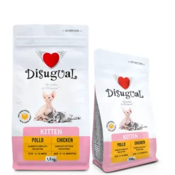 Disugual Kitten Pollo