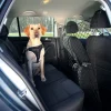 Divisorio in rete per auto Nero Trixie