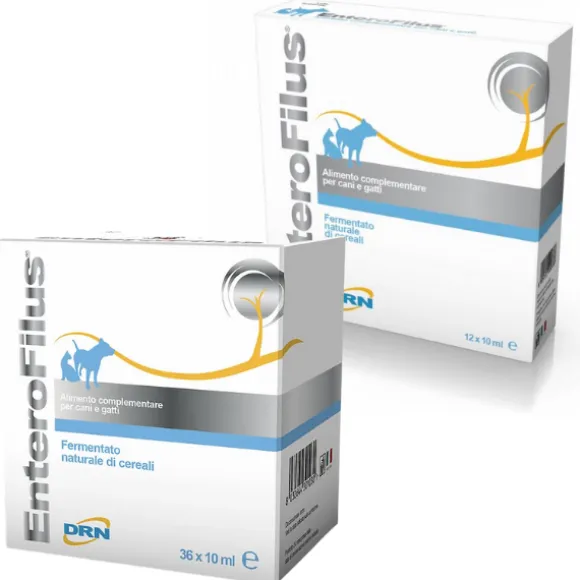 DRN Enterofilus Fiale