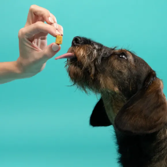 Edgard & Cooper Bites snack per cani Small Breeds Low Fat Grain Free 50 gr
