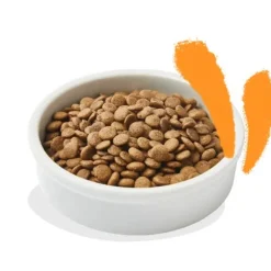 Edgard & Cooper Cat Adult Grain Free Pollo