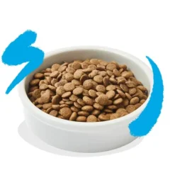 Edgard & Cooper Cat Adult Grain Free Salmone