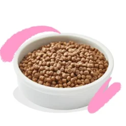 Edgard & Cooper Cat Kitten Grain Free Anatra e pollo